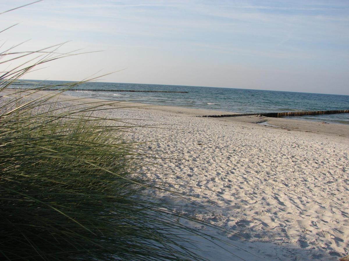 Hausnora - Zingst Lejlighed Eksteriør billede